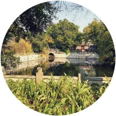 米乐app官方下载